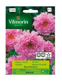 kosmos-pelny-rose-bonbon-05-g-vilmorin