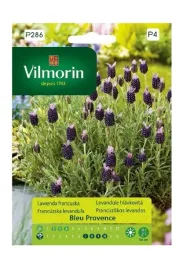 lawenda-francuska-03-g-vilmorin