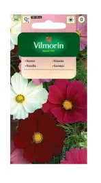 kosmos-onetek-sensation-mix-1-g-vilmorin