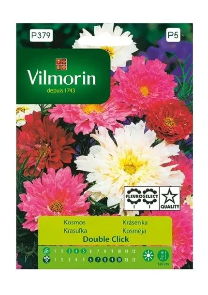 kosmos-double-click-05-g-vilmorin