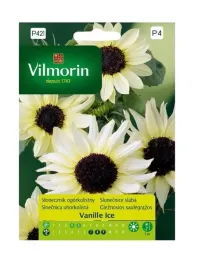 slonecznik-ogorkolistny-vanille-ice-05-g-vilmorin
