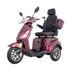 skuter-elektryczny-trojkolowy-insportline-zorica-deluxe-1000w-dla-seniora