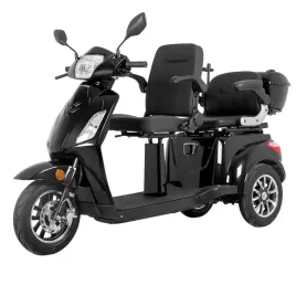 skuter-elektryczny-trojkolowy-dwuosobowy-insportline-zorica-duo-1000w-20ah