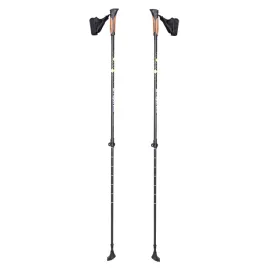 kijki-do-chodzenia-nordic-walking-insportline-hallti-regulowane