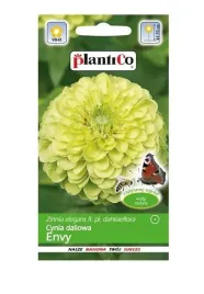 cynia-daliowa-envy-1-g-plantico