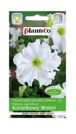 petunia-ogrodowa-koronkowy-welon-005-g-plantico