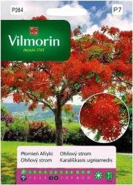 plomien-afryki-4-g-vilmorin
