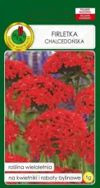 firletka-chalcedonska-1-g-pnos