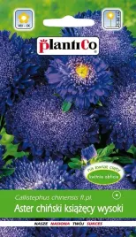 aster-ksiazecy-niebieski-trawiata-1-g-plantico