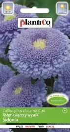aster-chinski-typ-sidonia-niebieski-1-g-plantico