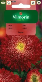 aster-chinski-ksiazecy-zorza-purpuroworozowy-05-g-vilmorin