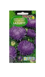 aster-piwoniowy-lazuryt-fiolkowy-1-g-polan
