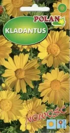 kladantus-zolty-0-1-g-polan