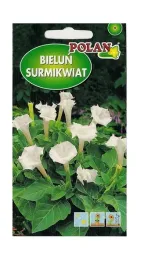 bielun-surmikwiat-bialy-05-g-polan