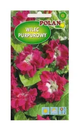 wilec-purpurowy-reffles-2-g-polan