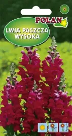 lwia-paszcza-wysoka-czerwona-0-5-g-polan