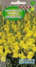 lwia-paszcza-wysoka-zolta-kanarienvogel-0-5-g-polan