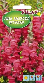 lwia-paszcza-wysoka-rozowa-temple-0-5-g-polan