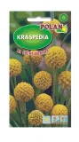 kraspedia-zolta-01-g-polan