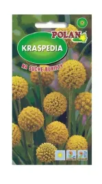 kraspedia-zolta-01-g-polan
