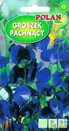 groszek-pachnacy-granatowy-3-g-polan