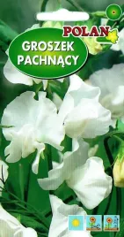 groszek-pachnacy-bialy-3-g-polan