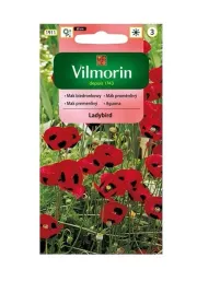 mak-biedronkowy-ladybird-04-g-vilmorin