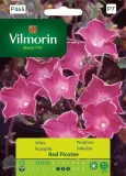 wilec-red-picotee-1-g-vilmorin