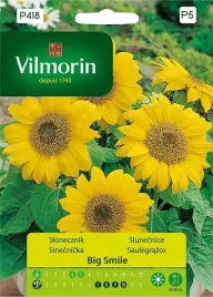 slonecznik-kwiatowy-big-smile-sunny-05-g-vilmorin