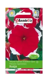 petunia-ogrodowa-iluzja-czerwona-005-g-plantico