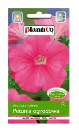 petunia-ogrodowa-rozowa-bajka-005-g-plantico