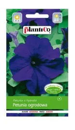 petunia-ogrodowa-niebieska-blaues-meer-005-g-plantico