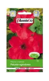 petunia-ogrodowa-karo-005-g-plantico