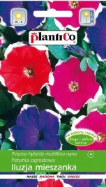 petunia-ogrodowa-iluzja-mix-005-g-plantico