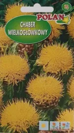 chaber-zolty-1-g-polan