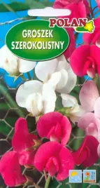 groszek-szerokolistny-mieszany-2-g-polan
