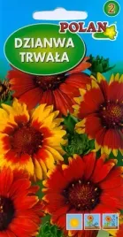 dzianwa-trwala-kobold-1-g-polan