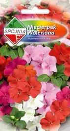 niecierpek-waleriana-mieszany-0-2-g-spojnia