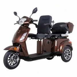 skuter-elektryczny-trojkolowy-dwuosobowy-insportline-zorica-duo-1000w-20ah