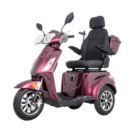 skuter-elektryczny-trojkolowy-insportline-zorica-deluxe-1000w-dla-seniora