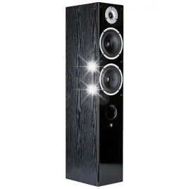 wilson-raptor-7-kolumny-glosnikowe-podlogowe-hi-fi