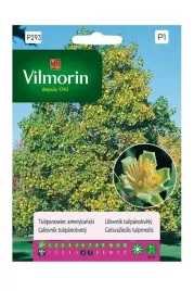 tulipanowiec-amerykanski-03-g-vilmorin