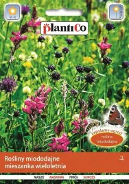 rosliny-miododajne-mieszanka-wieloletnia-10-g-plantico