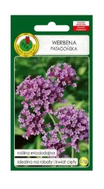 werbena-patagonska-01-g-pnos