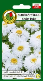 zlocien-wielki-crazy-daisy-bialy-0-2-g-pnos