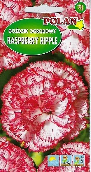 gozdzik-ogrodowy-raspberry-ripple-0-2-g-polan