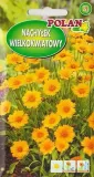 nachylek-trwaly-sunburs-1-g-polan