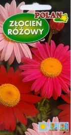 zlocien-rozowy-robinsons-mieszany-1-g-polan