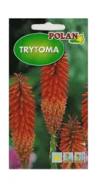 trytoma-pomaranczowa-02-g-polan