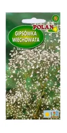 gipsowka-wiechowata-lyszczec-1-g-polan